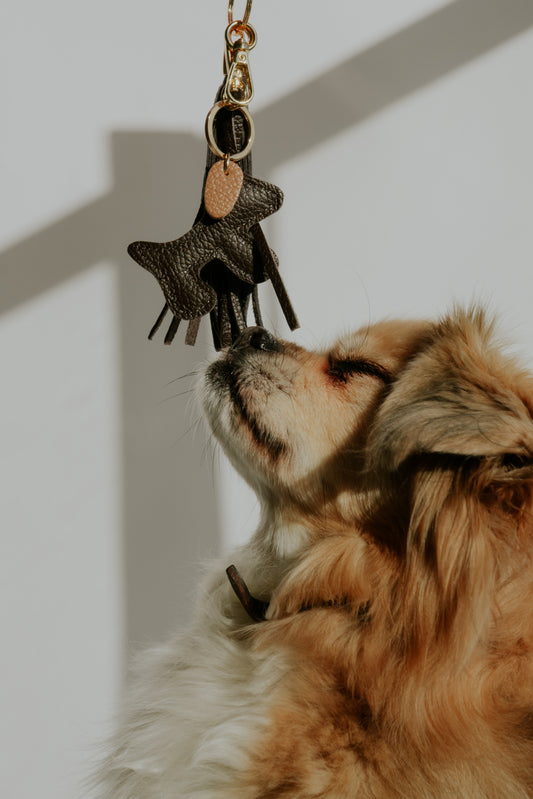 Leather Dog Keychain/Bag charm
