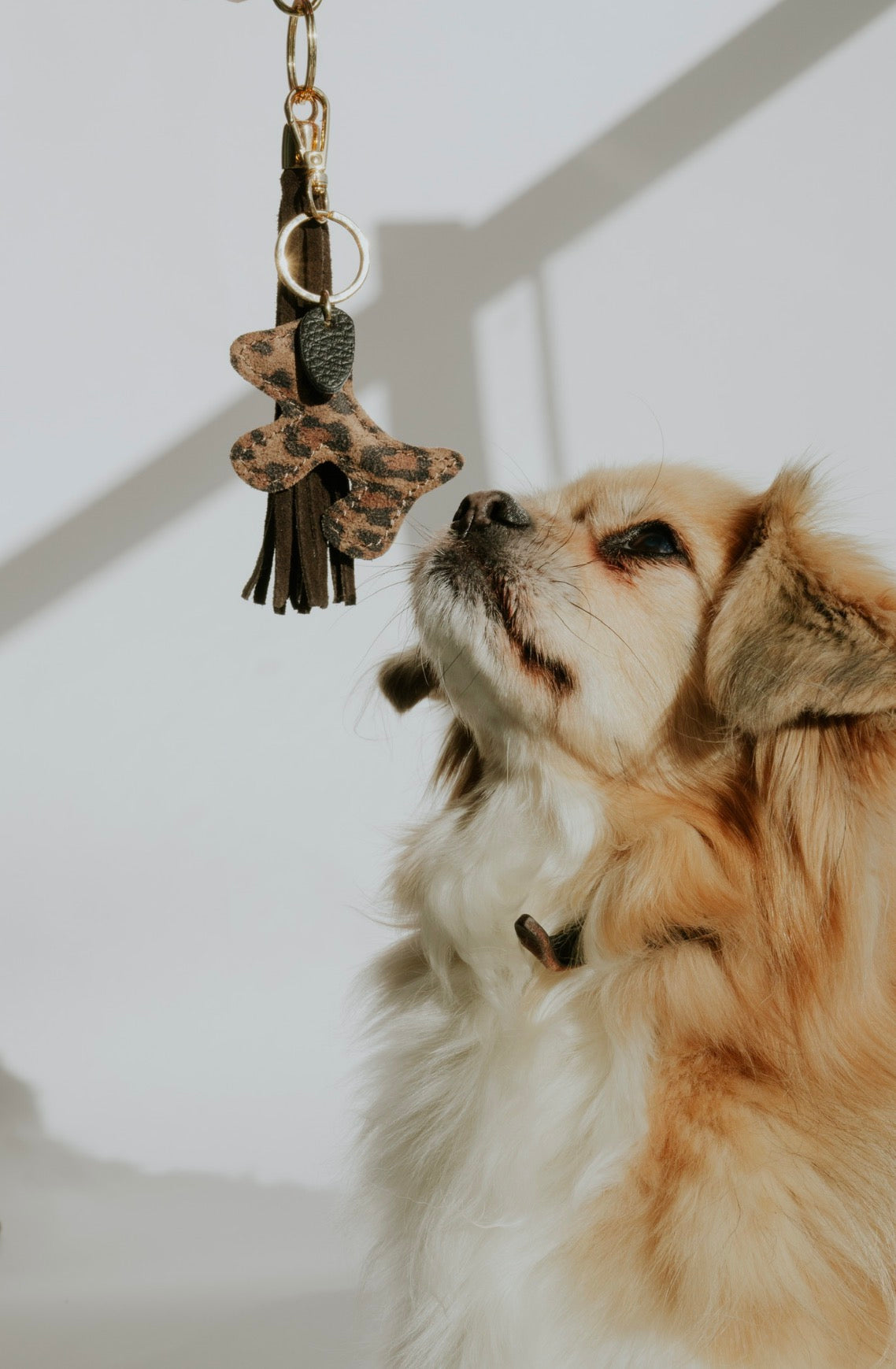 Leather Dog Keychain/Bag charm